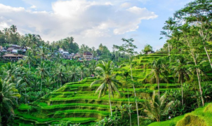 Ciri Khas Kota Ubud