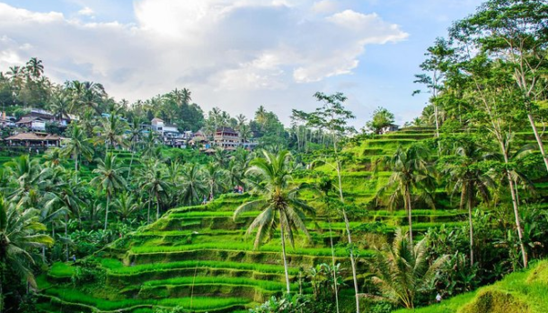 Ciri Khas Kota Ubud