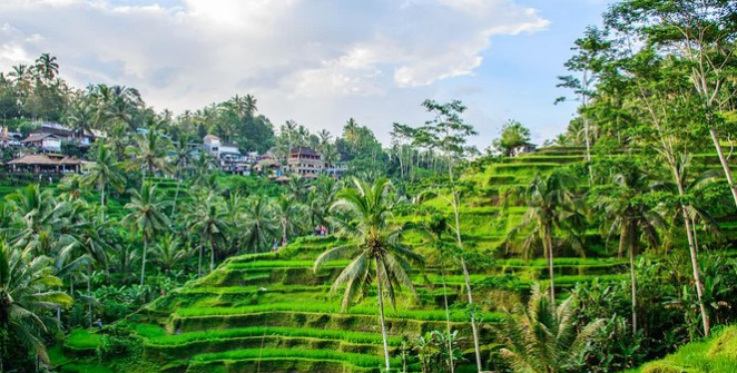 Ciri Khas Kota Ubud